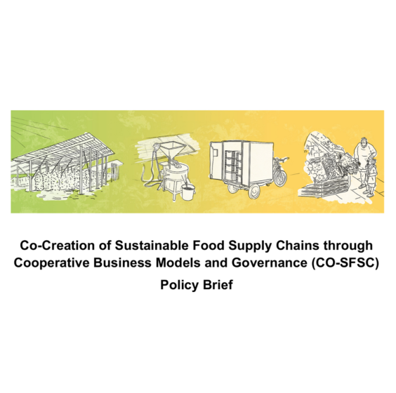 Policy Brief Title